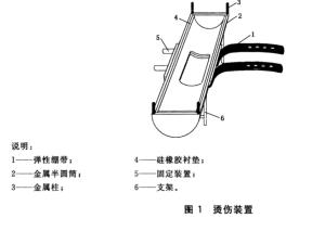 YS-T147 Burn Injury Device